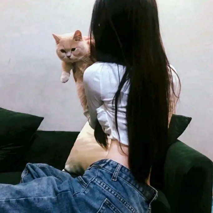 解决师粤语